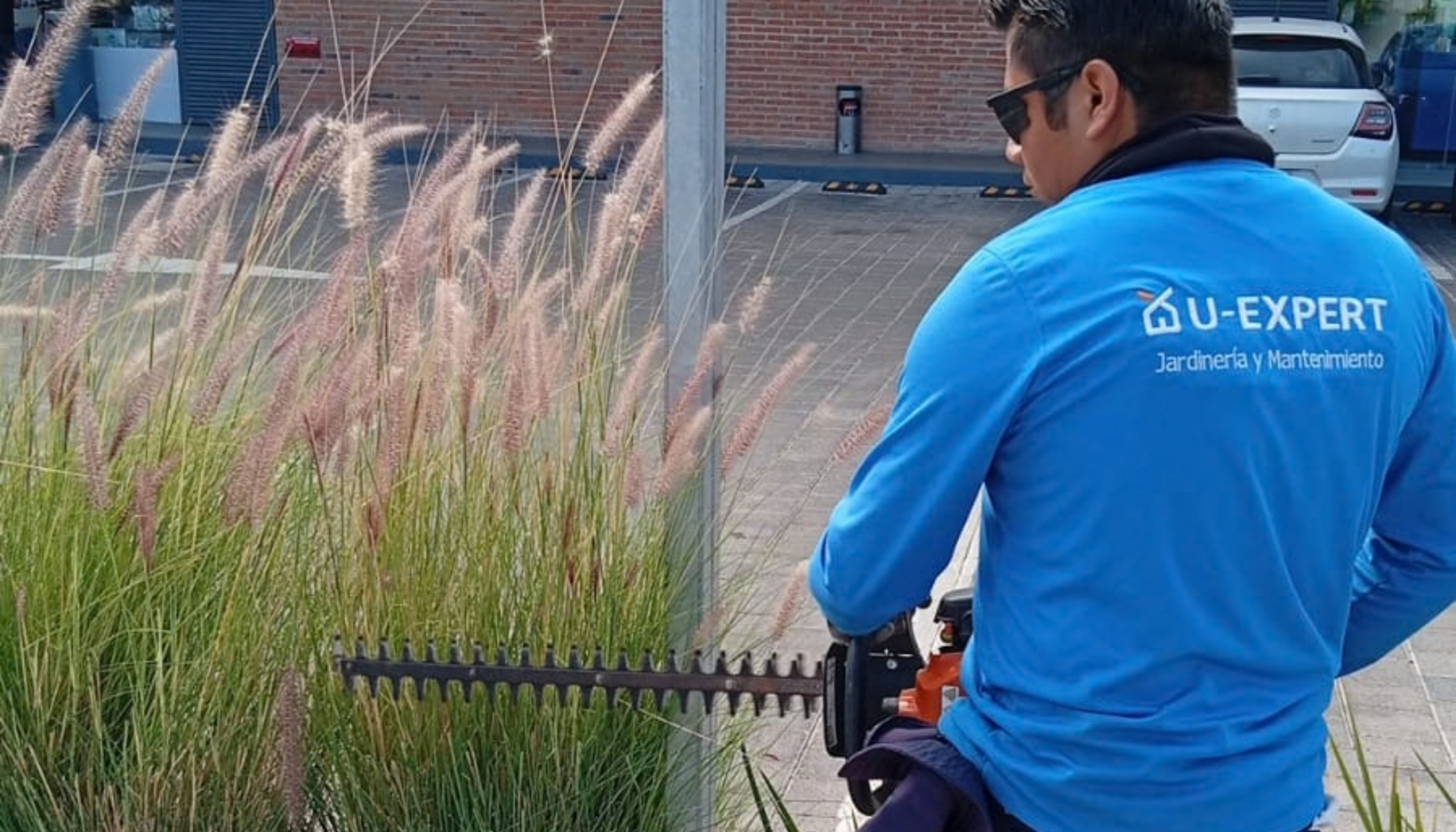 Planes de mantenimiento U-Expert