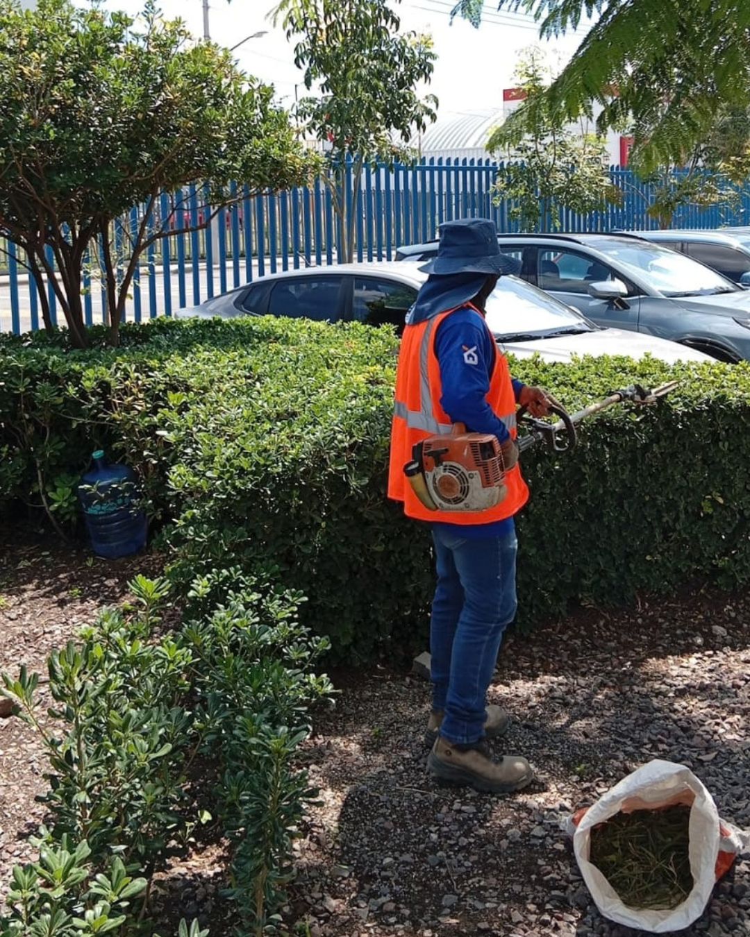 Jardín profesional con vegetación cuidada