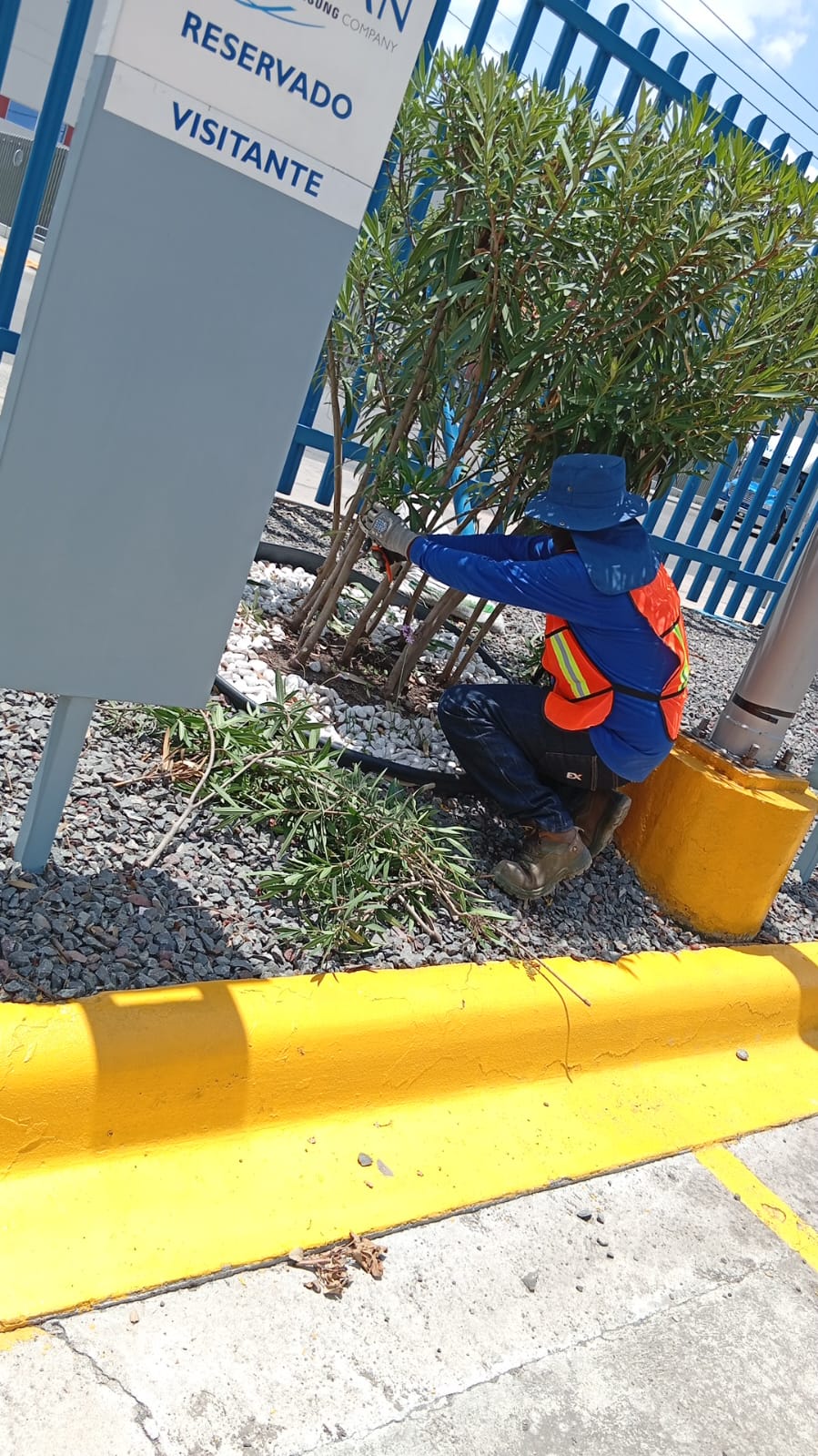 Especialista U-EXPERT realizando mantenimiento en un área verde