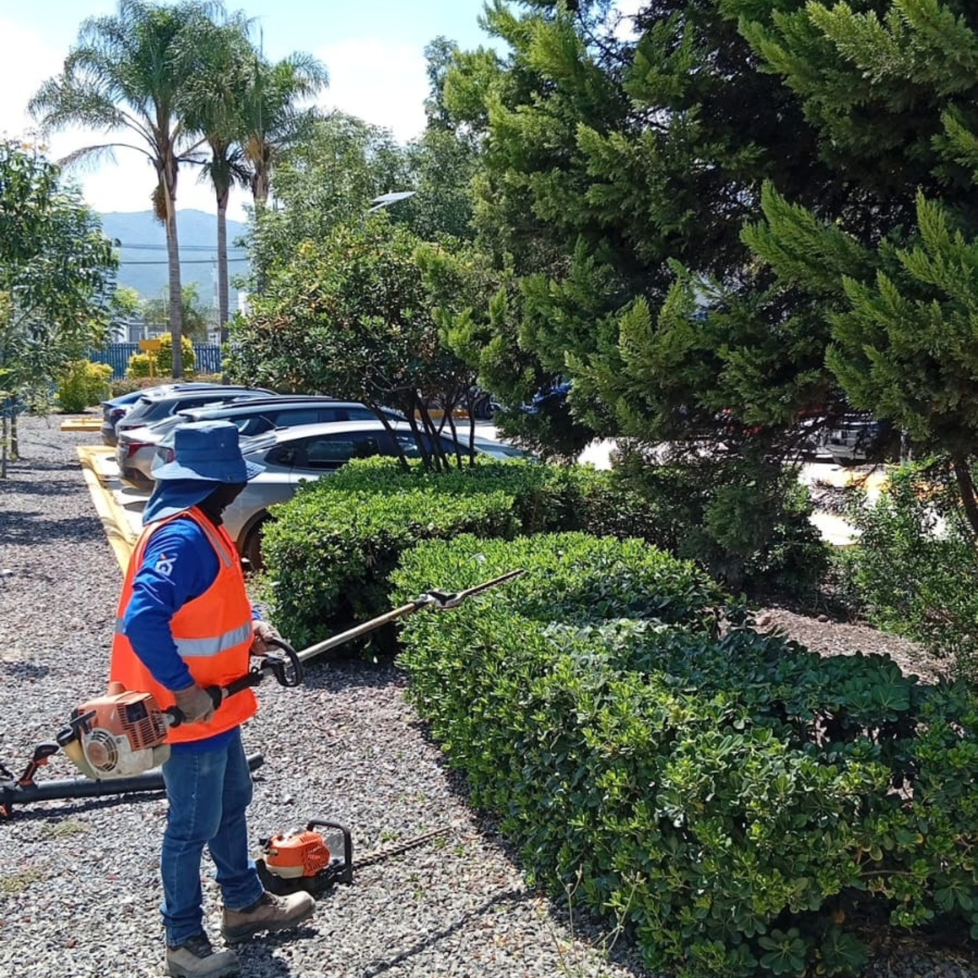Trabajo realizado por U-XPERT