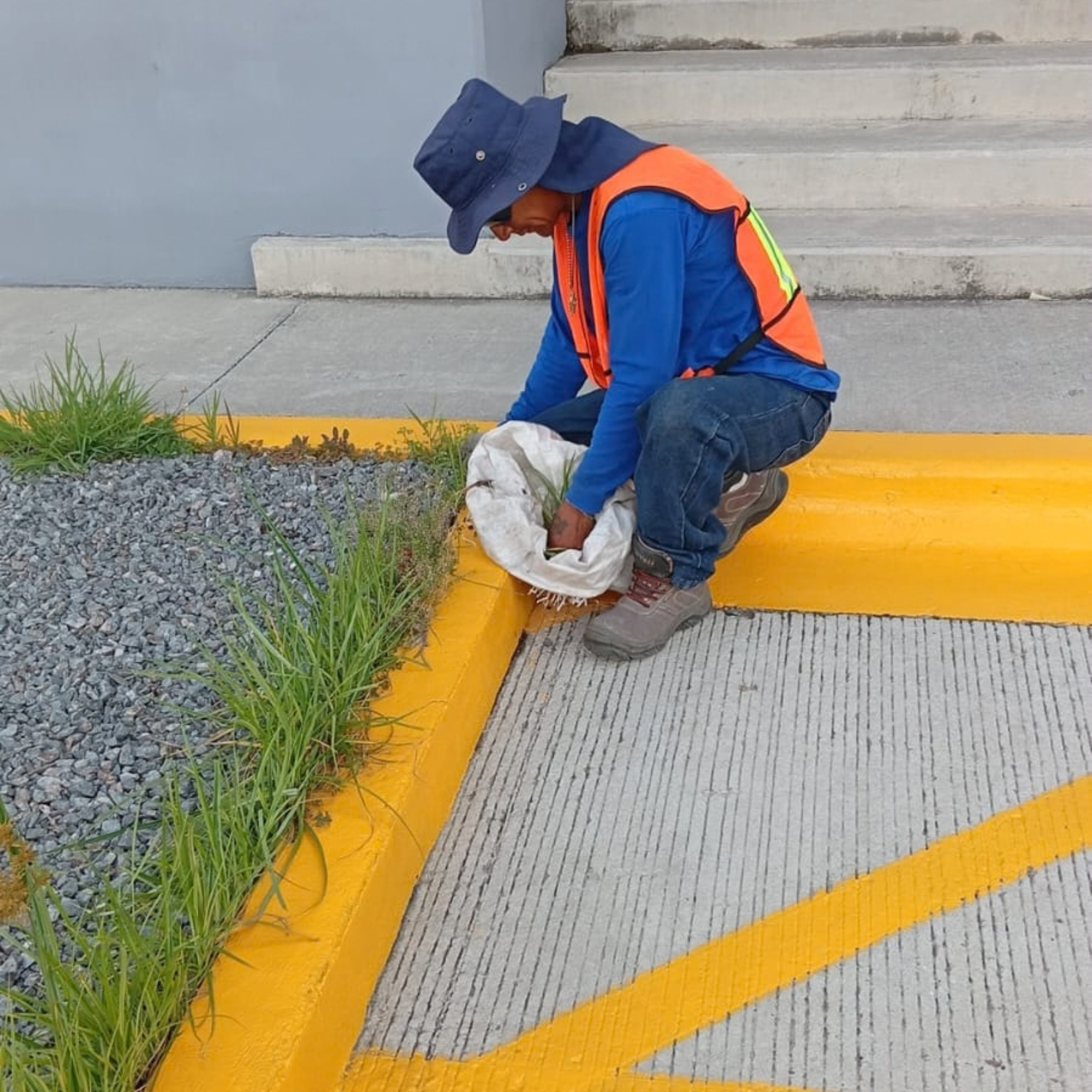 Proyecto realizado por U-XPERT