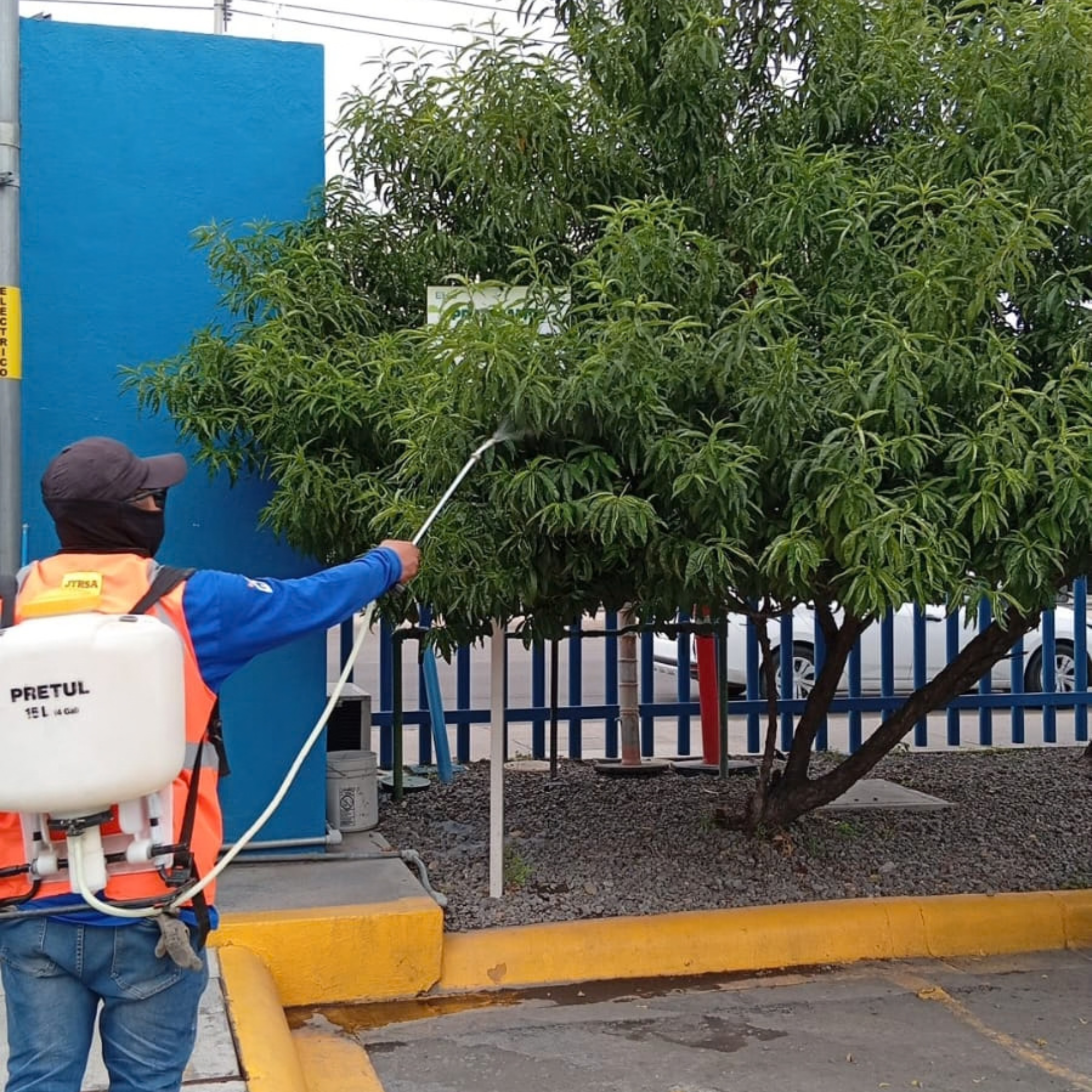 Servicio profesional realizado por U-XPERT