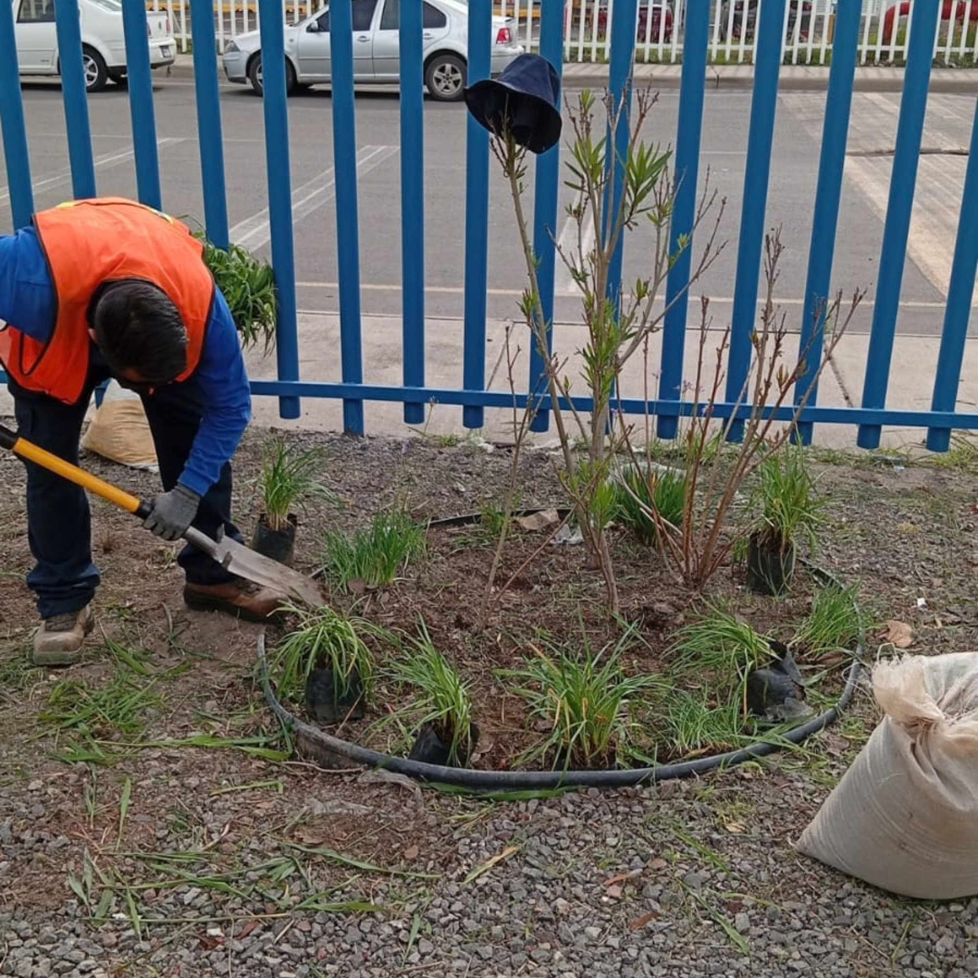 Trabajo realizado por especialistas U-XPERT