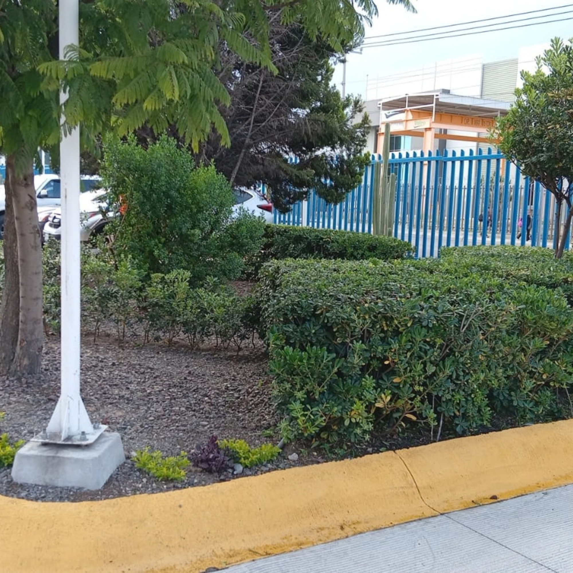 Resultado de proyecto U-XPERT